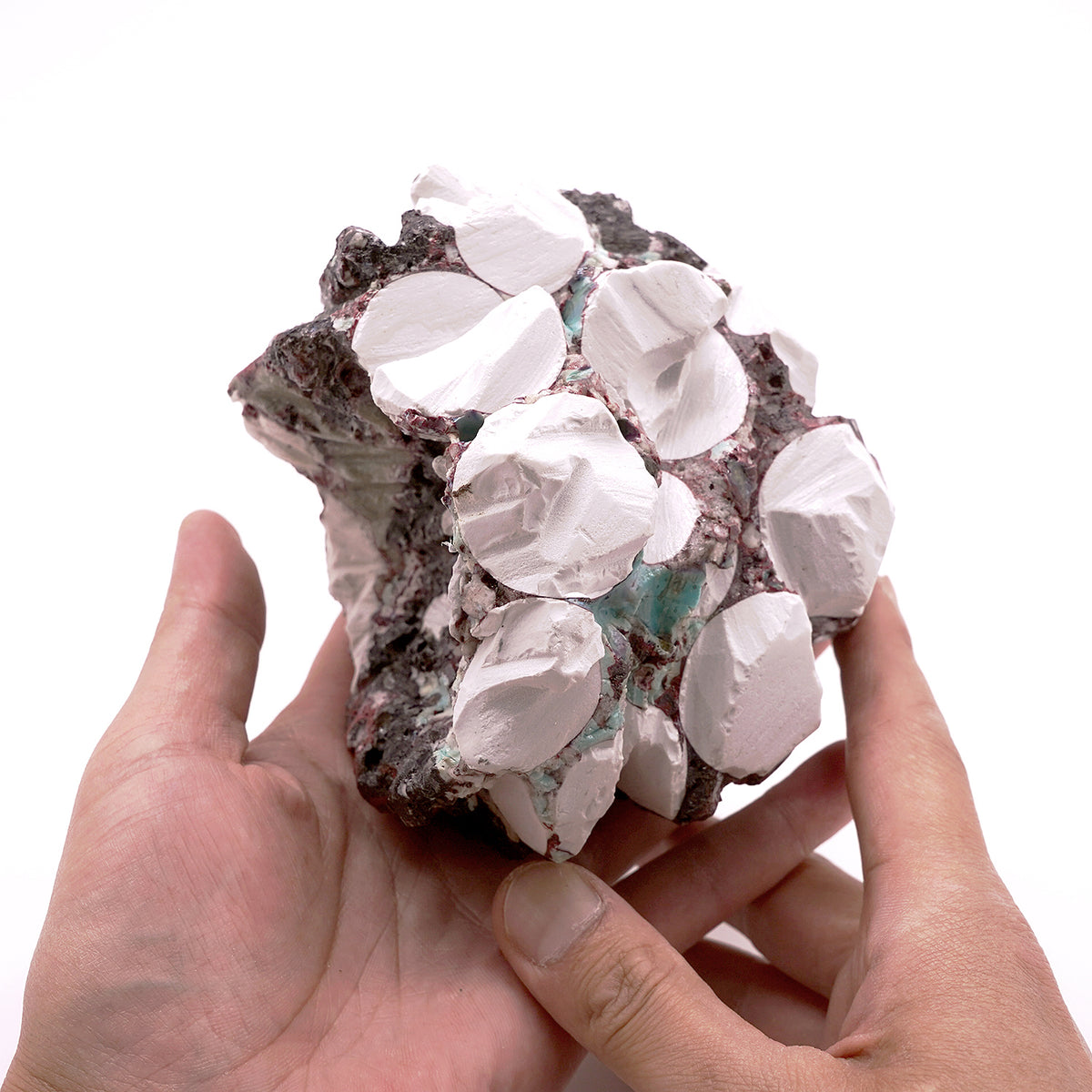 木ノ戸久仁子 かじられた惑星の石 KNKOB023 – 白白庵（PAKUPAKUAN）