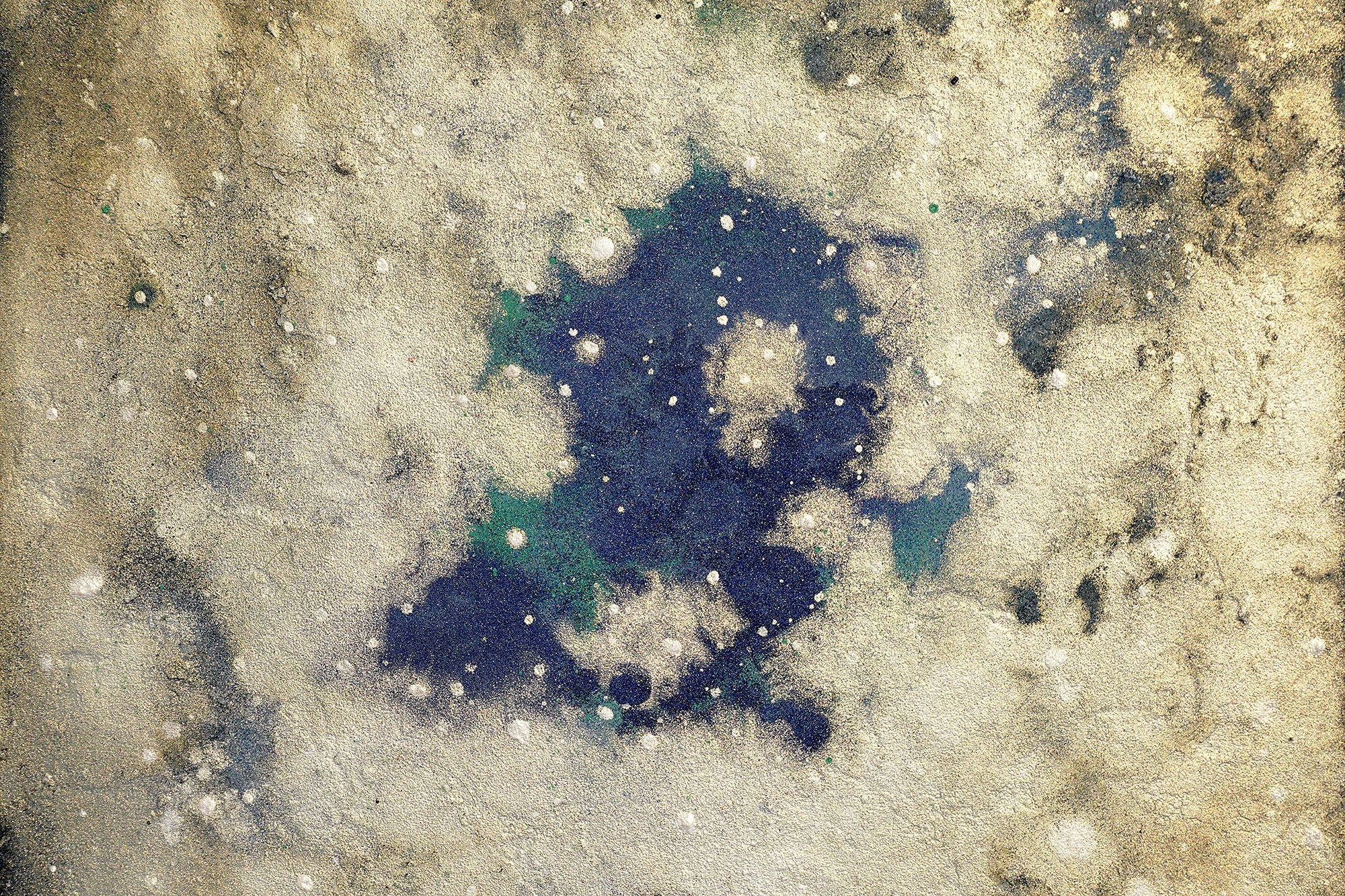 日本画家・酒井龍一　SAKAI Ryuichi　作品６点を公開しました