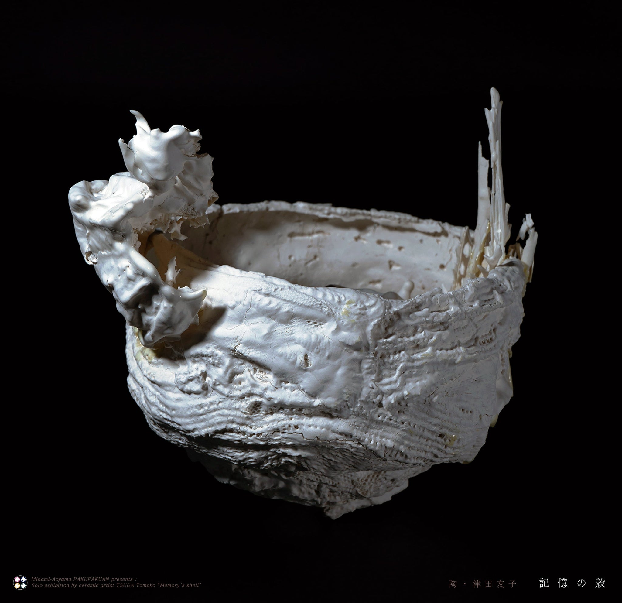 陶・津田 友子 展　『 記 憶 の 殻 』 　Solo exhibition by ceramic artist TSUDA Tomoko “Memory’s shell”　本日より公開スタートしました！