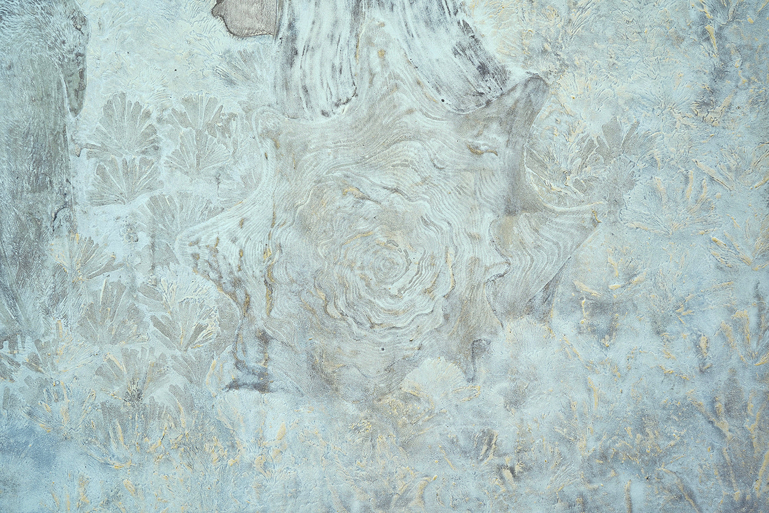 酒井龍一　「磐座の庭」　SRIPN052