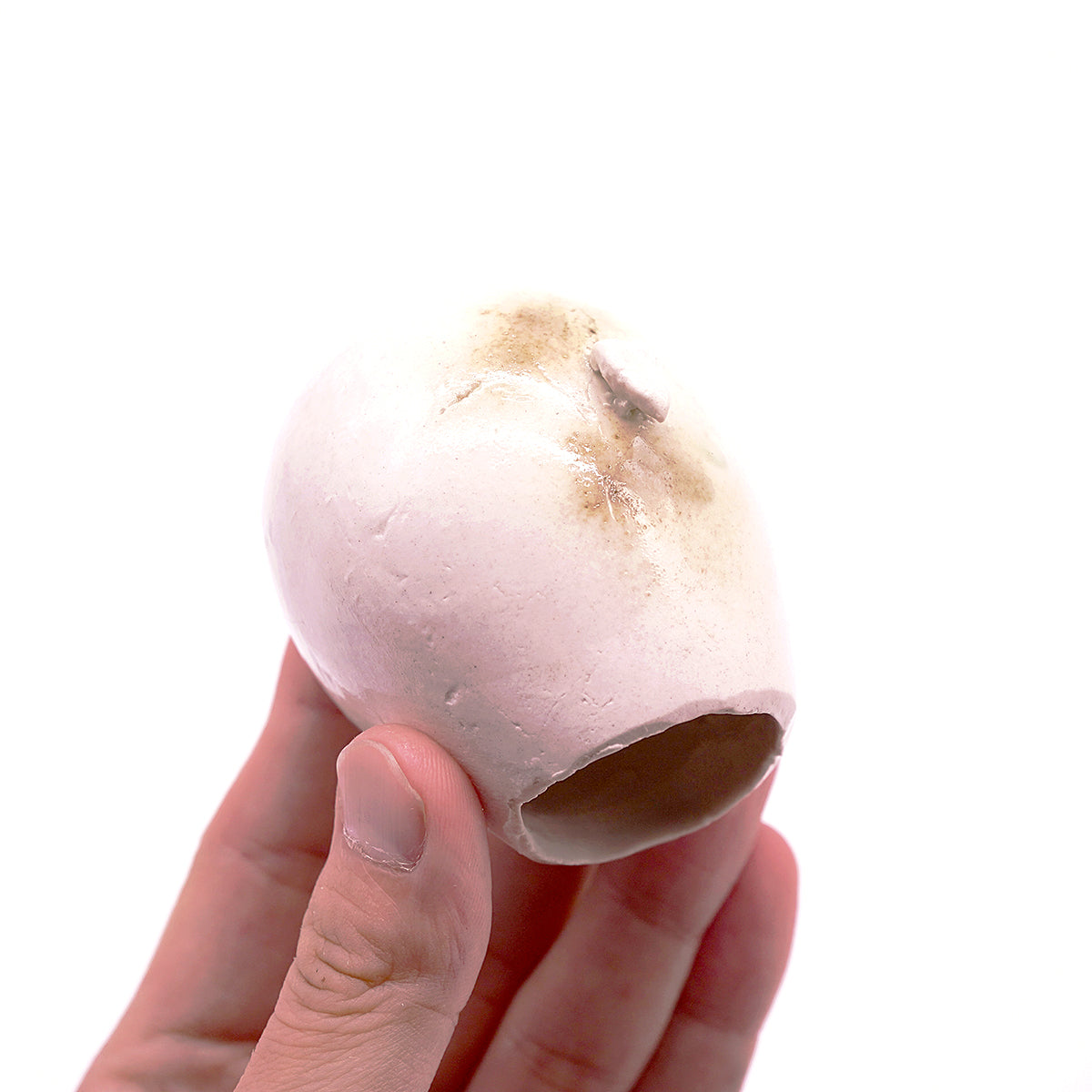 梶浦聖子　「惑星の木」　KJSOB028