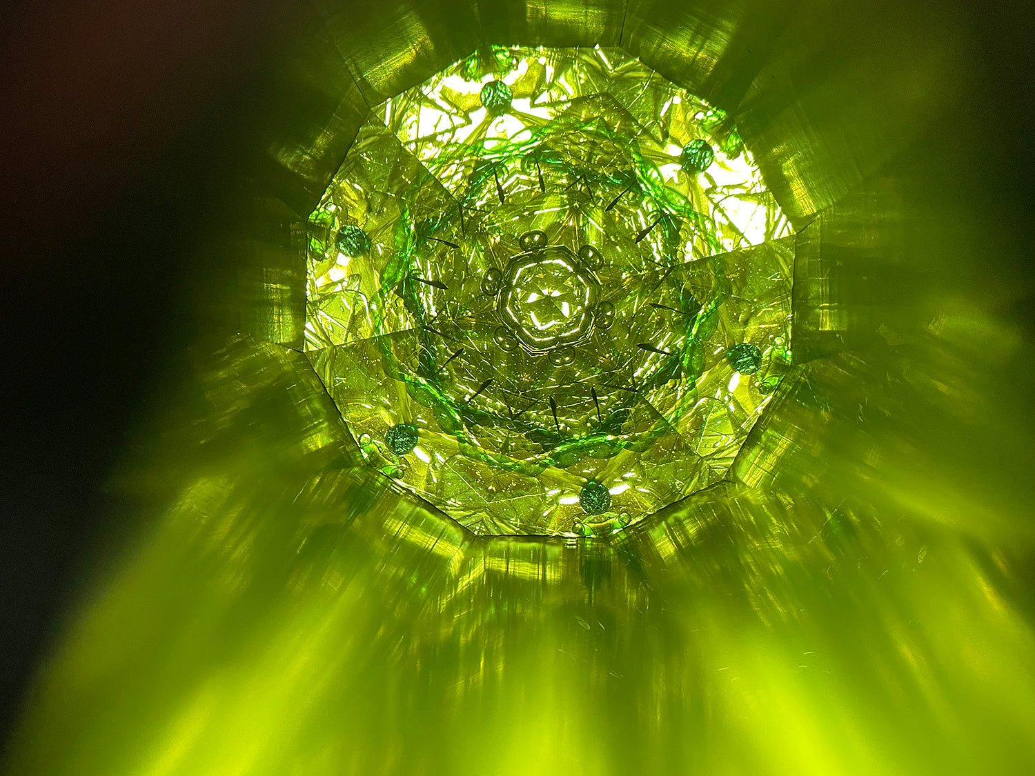 松宮真理子　失われた森　MMMOB001P