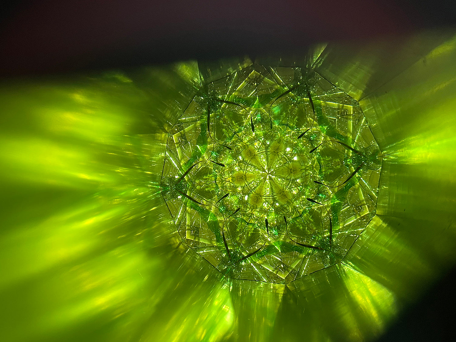 松宮真理子　失われた森　MMMOB001P