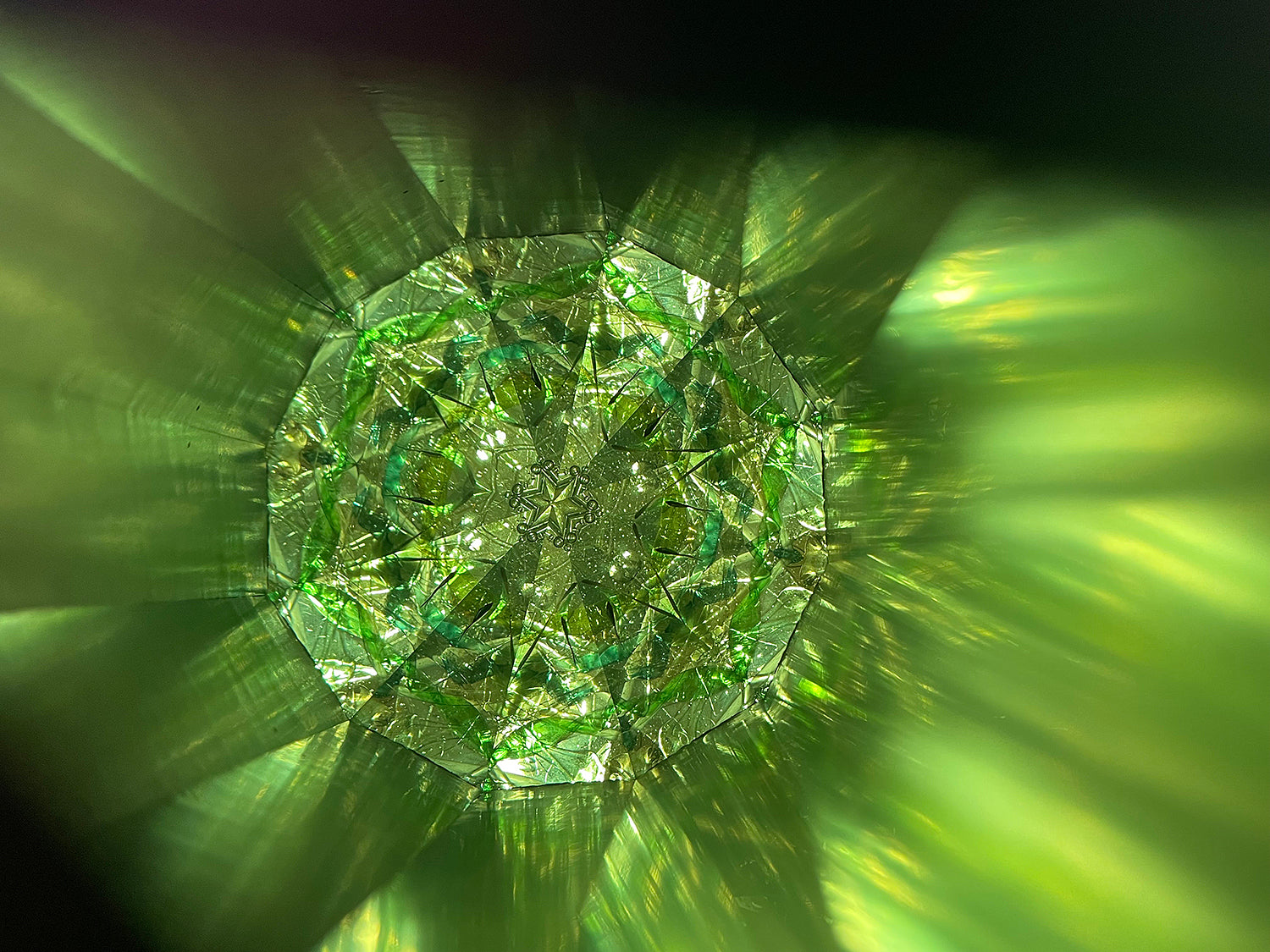 松宮真理子　失われた森　MMMOB001P