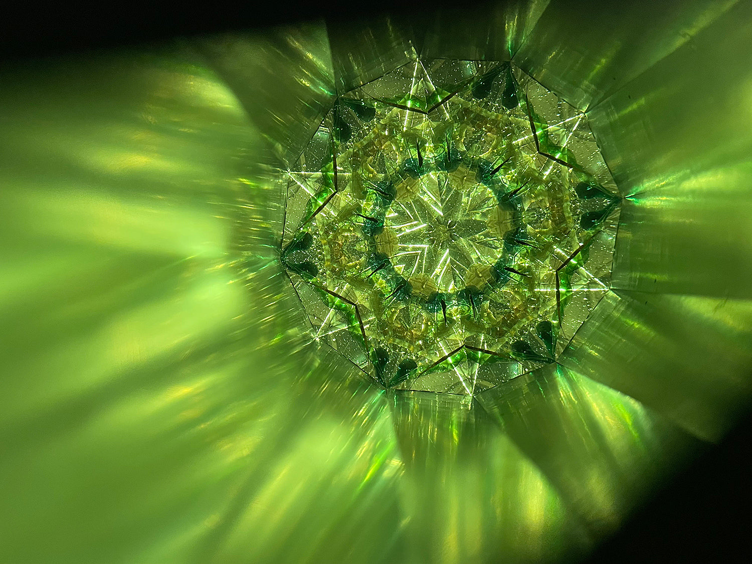 松宮真理子　失われた森　MMMOB001P