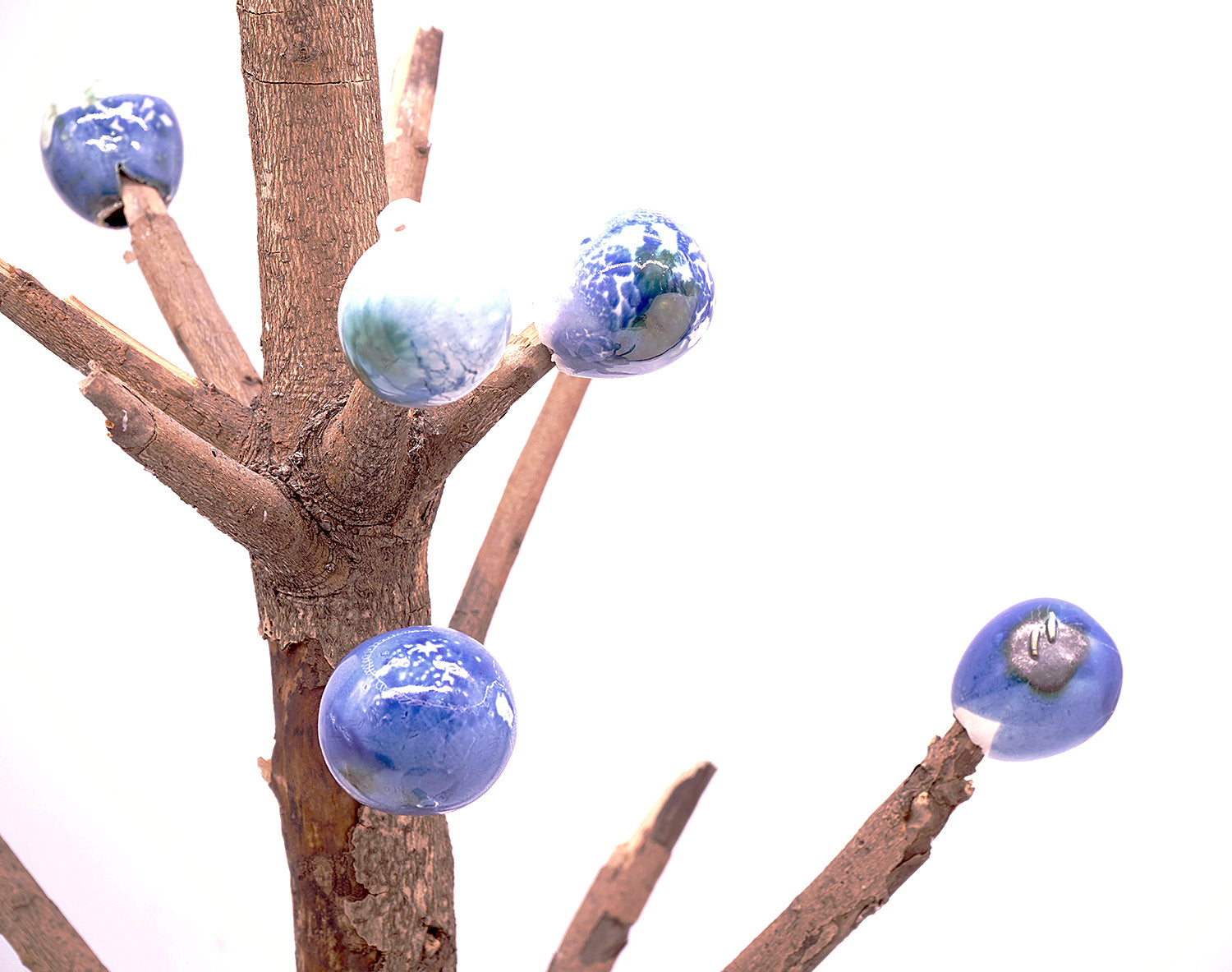 梶浦聖子　「惑星の木」　KJSOB028