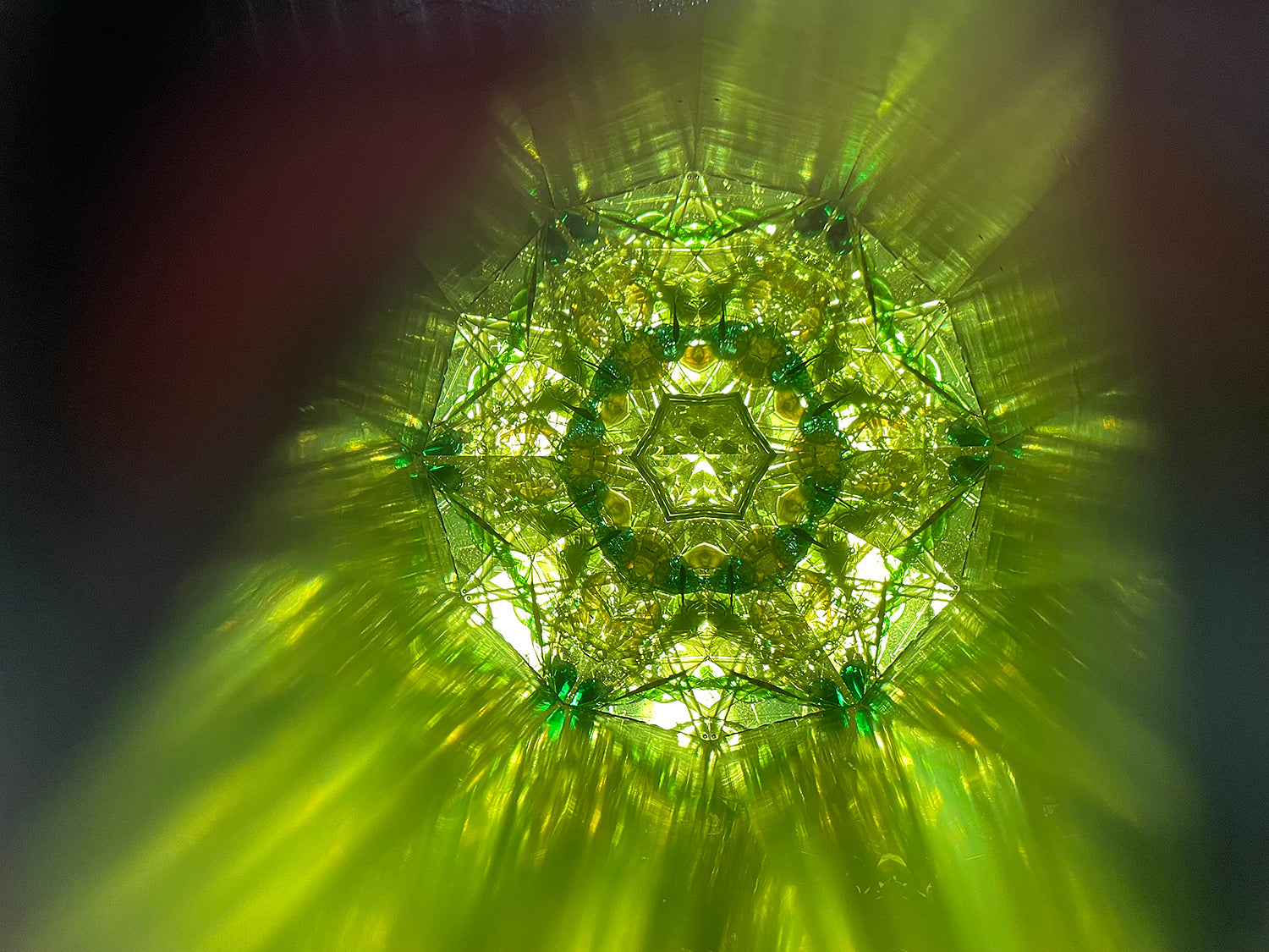 松宮真理子　失われた森　MMMOB001P