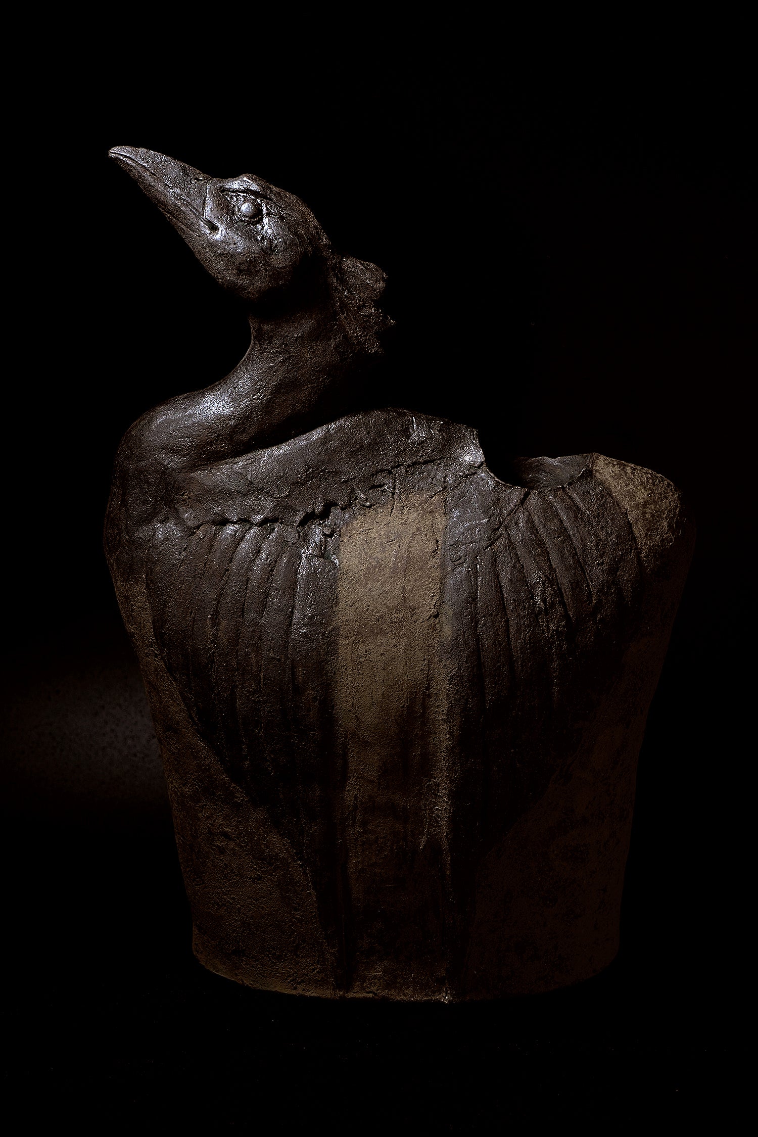 伊豆野一政　連想　　IZNFV021