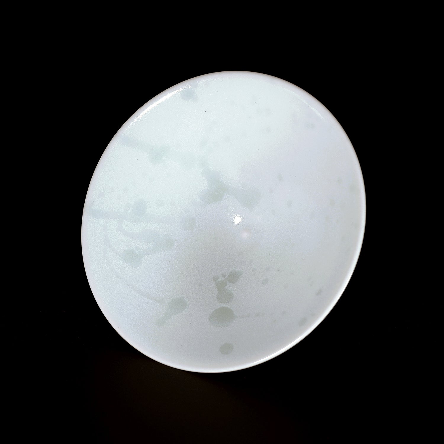 谷口晋也　泡高杯　TGSGN043