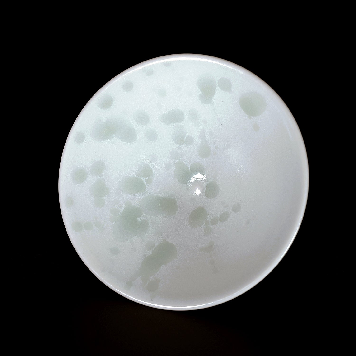 谷口晋也　泡高杯　TGSGN044