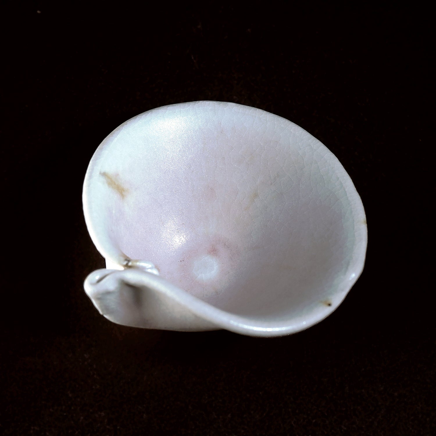 田村一　蛤盃　TMHGN117