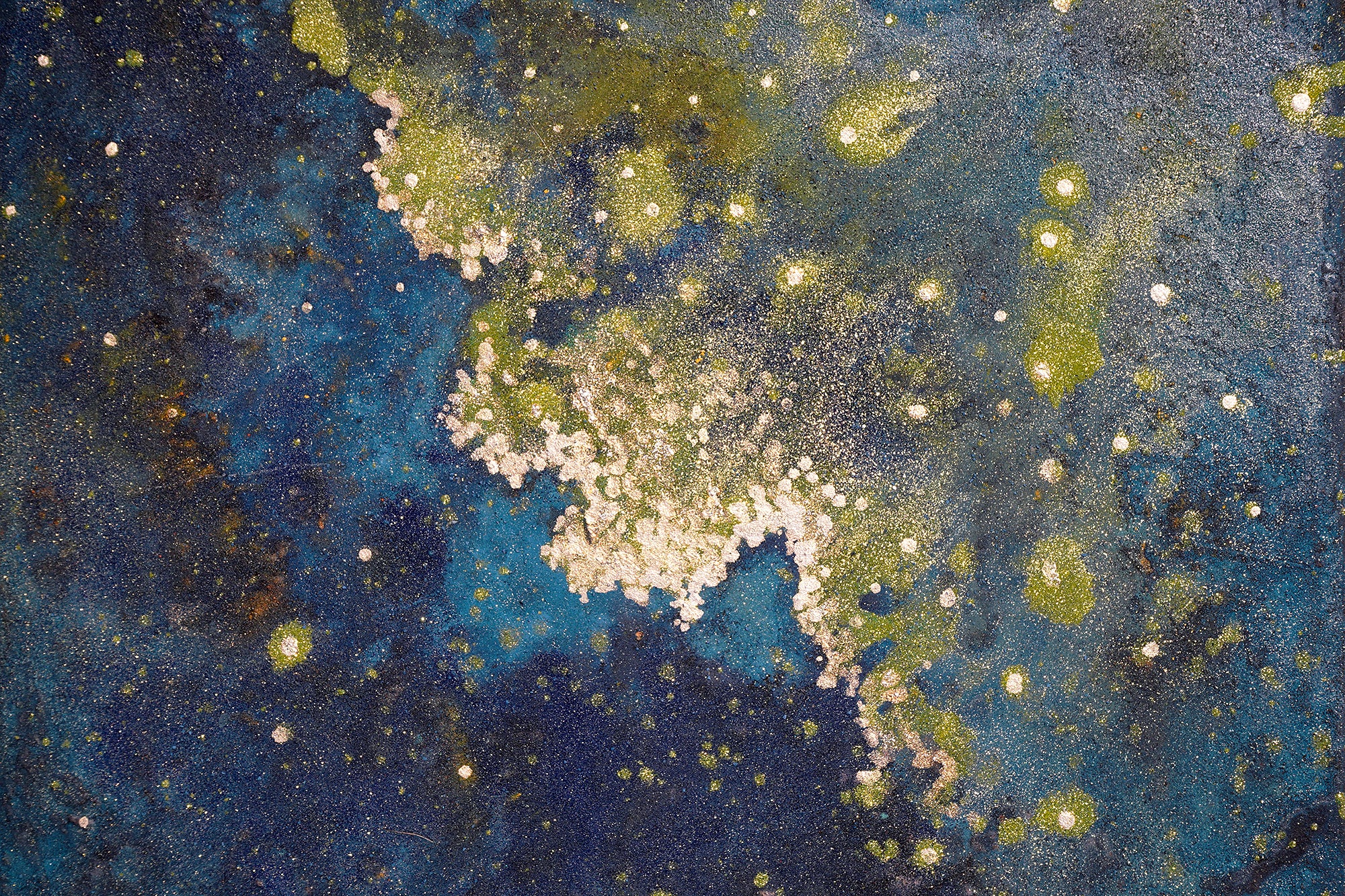 酒井龍一　「Cosmos #9」　SRIPN066