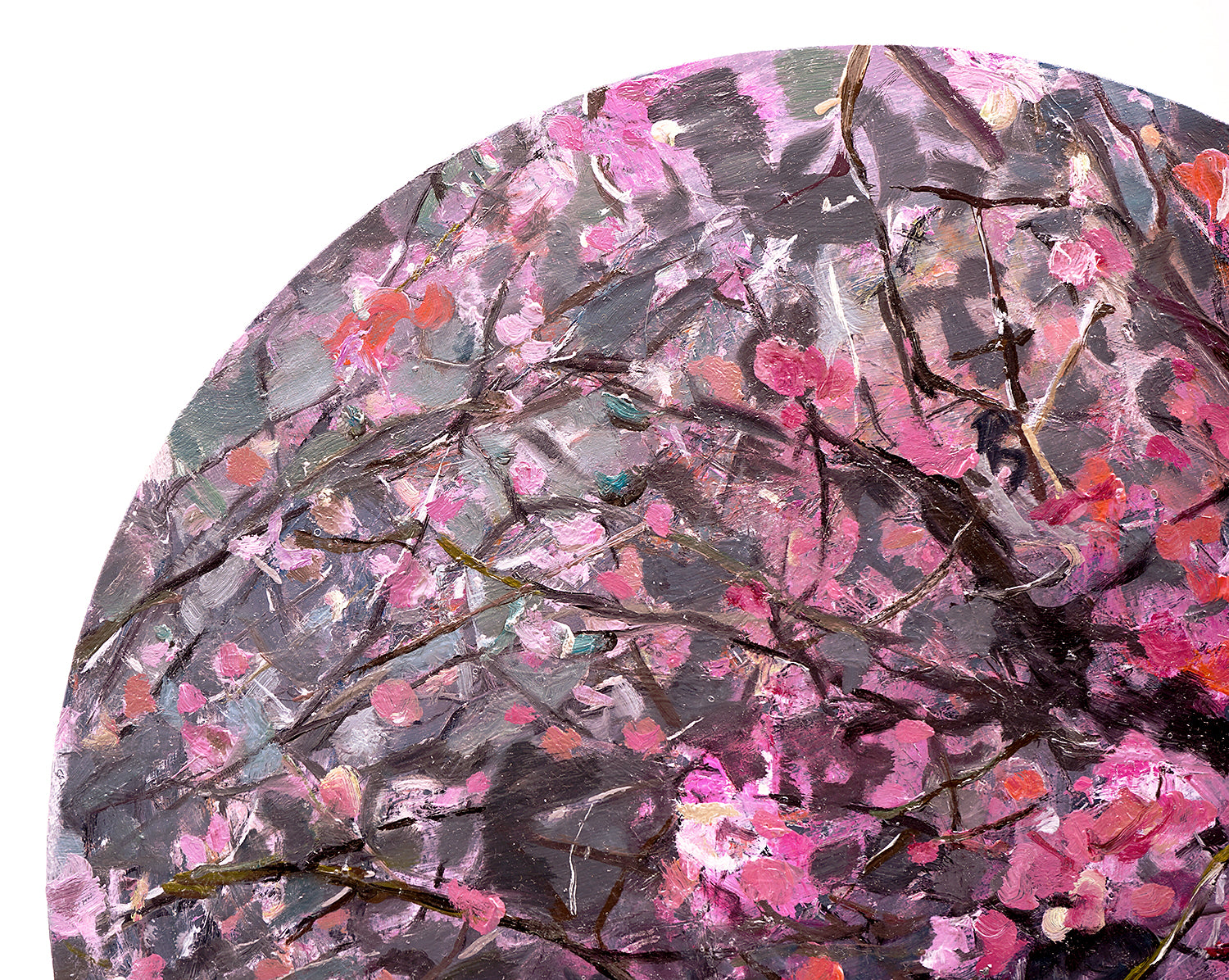 佐藤早苗　「Dali」　STSPN026