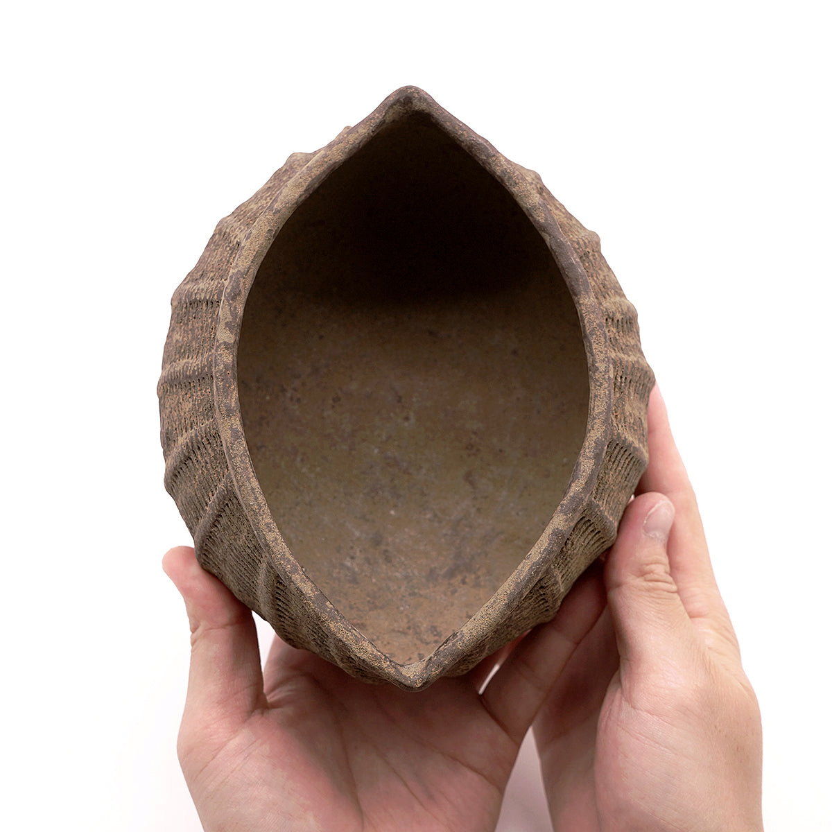 伊豆野一政　かたどりの器　　IZNFV020