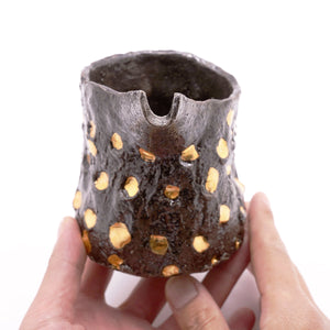 酒器、ぐい呑 一覧 Sake pitchers & cups (guinomi) collection