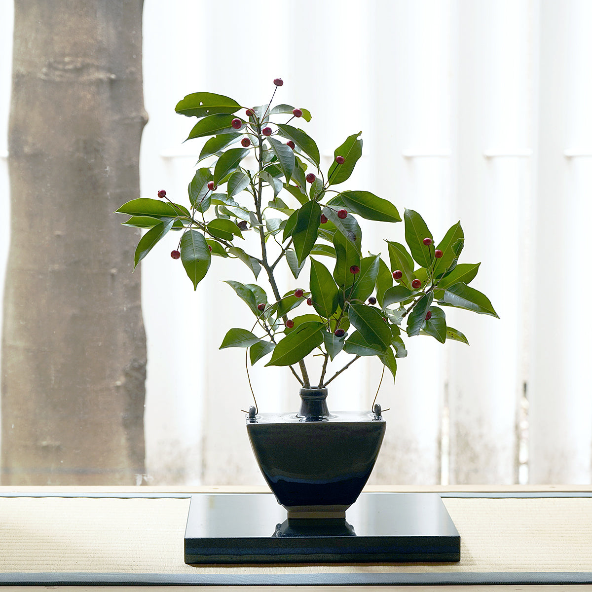 【期間限定】《Life with the Bloom》伊藤千穂　曹柱硝子手付き扁壺　ITCBFV010