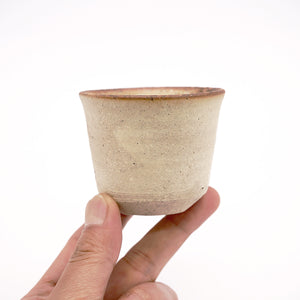 星野聖 HOSHINO Sei – 白白庵（PAKUPAKUAN）