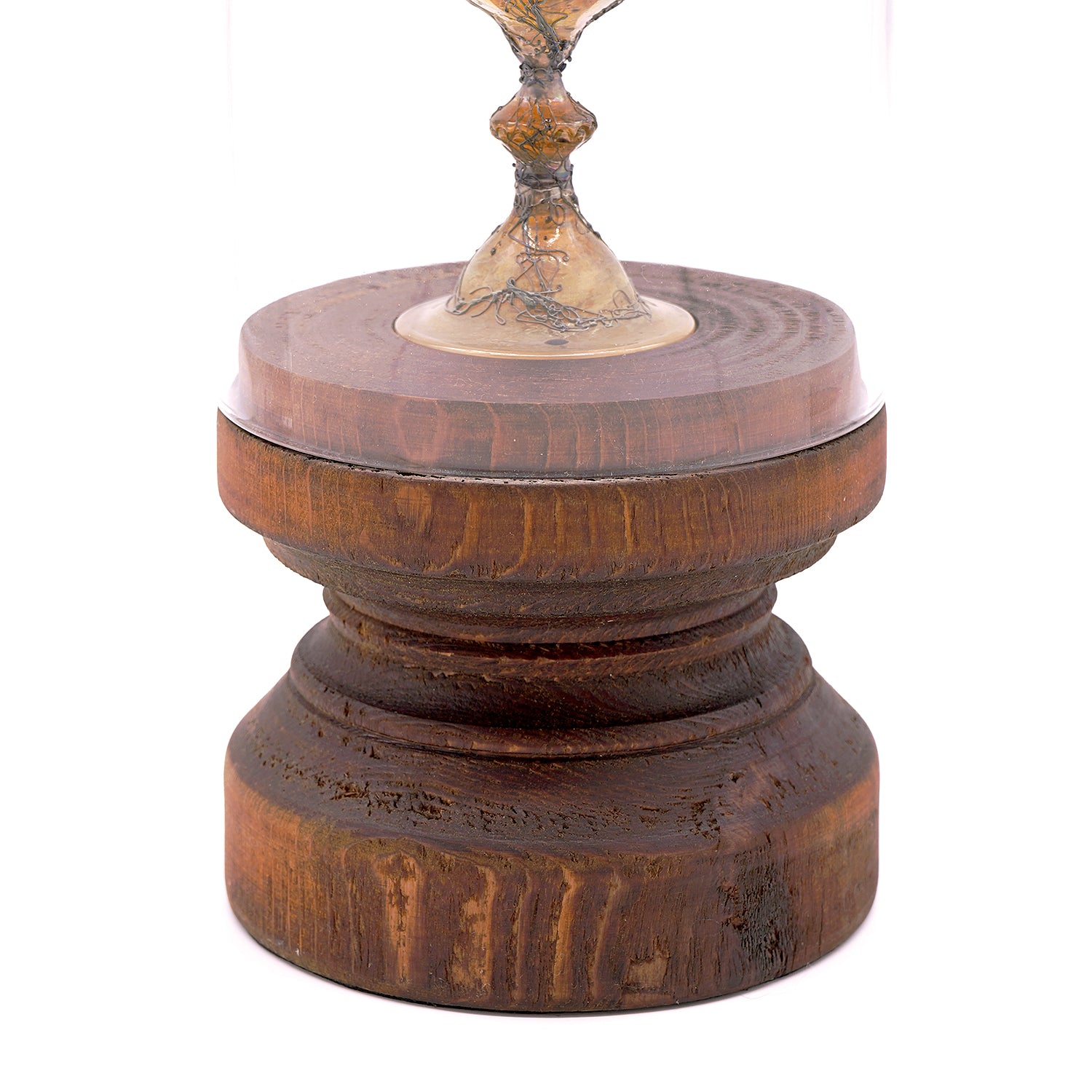 大下邦弘　Dionysos　OSKOB006