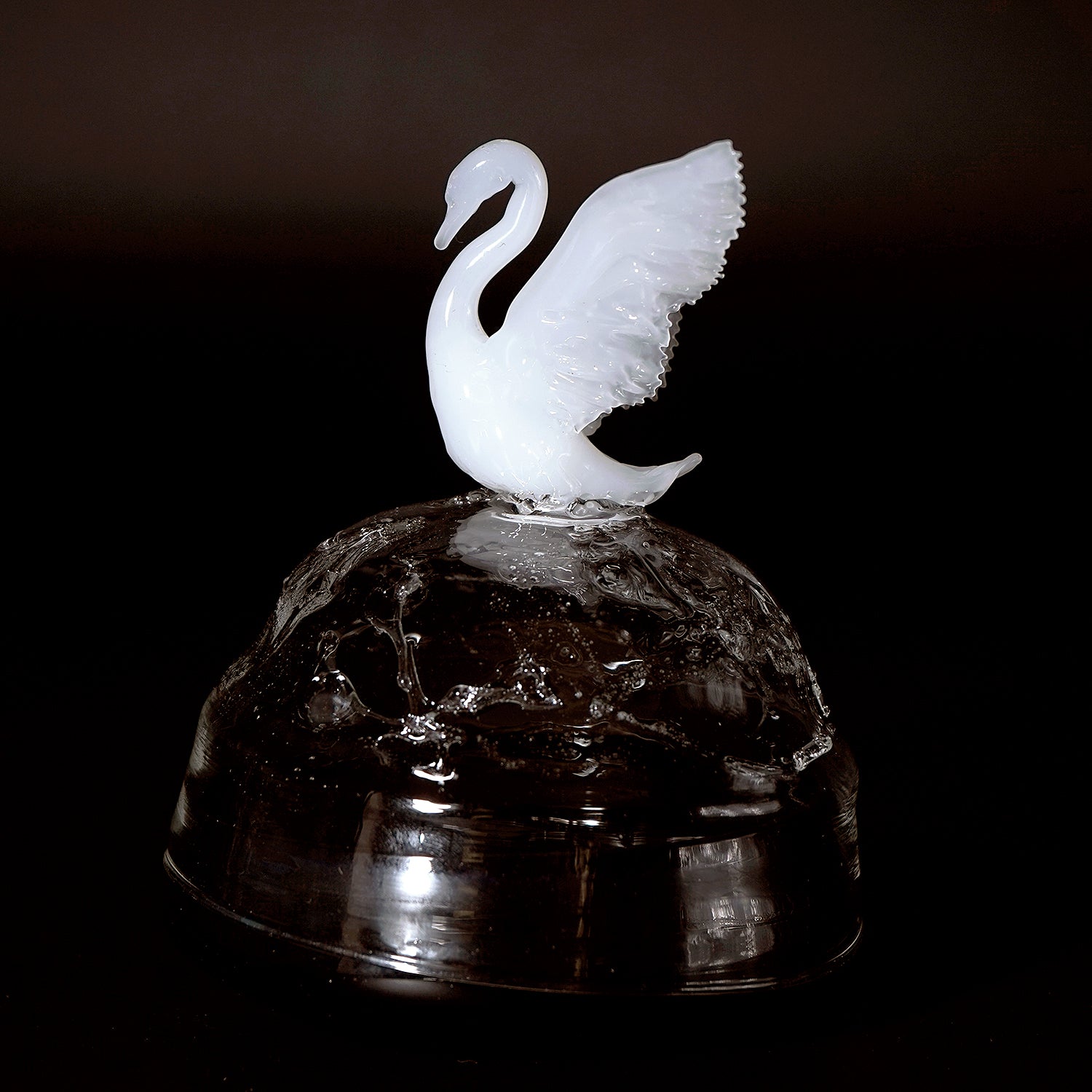 大下邦弘　白鳥の湖　OSKOB016