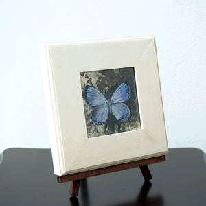 酒井龍一　「Fragment -Butterfly-」　SRIPN033P