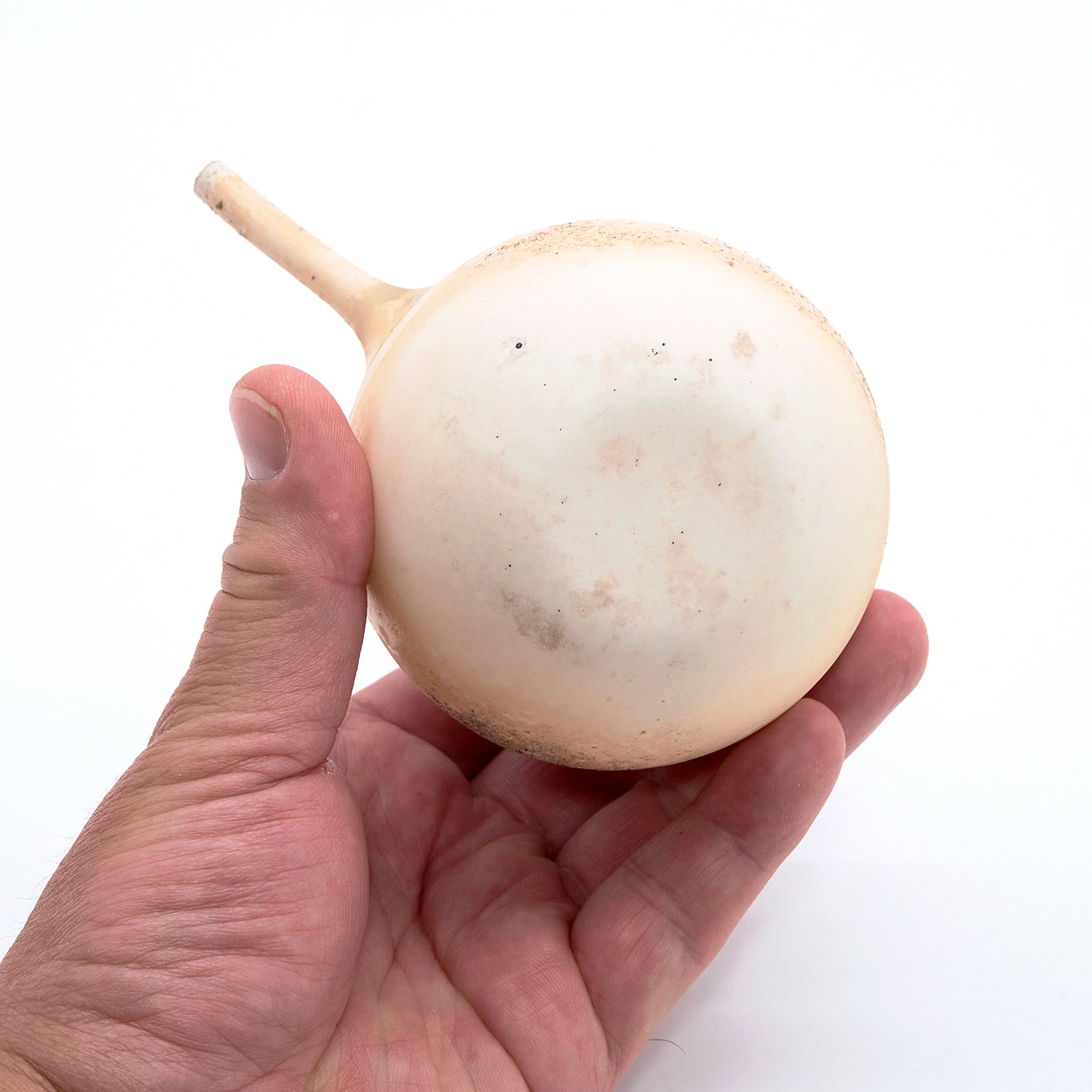 松本治幸 白磁窯変注器 HRYSK015P – 白白庵（PAKUPAKUAN）