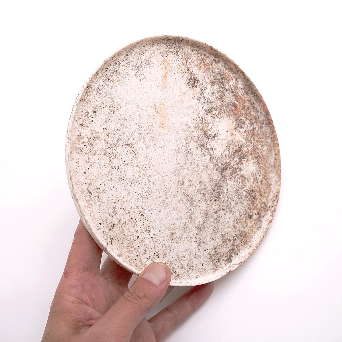 松本治幸　白磁窯変皿　 HRYPL013