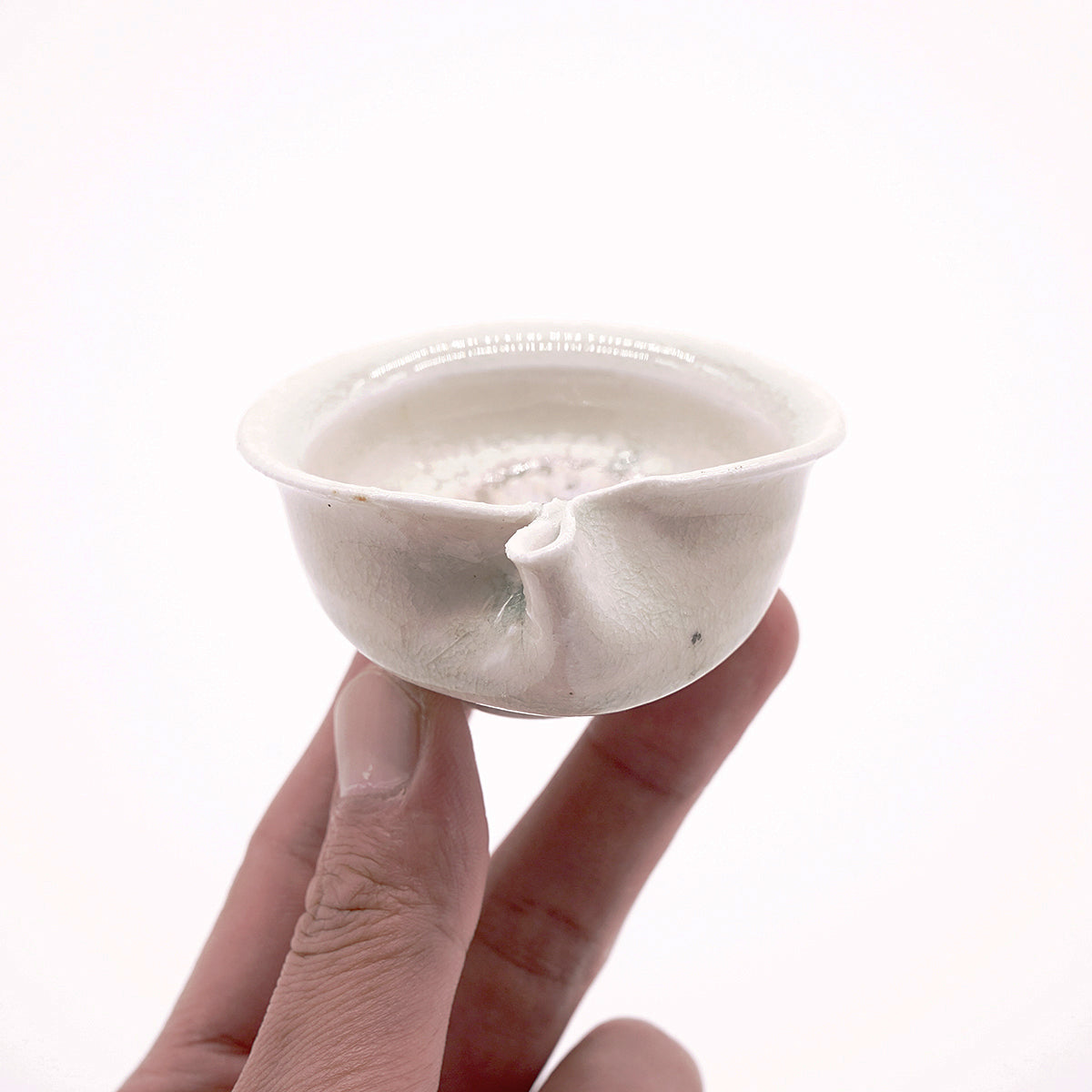 田村一　蛤盃　TMHGN116