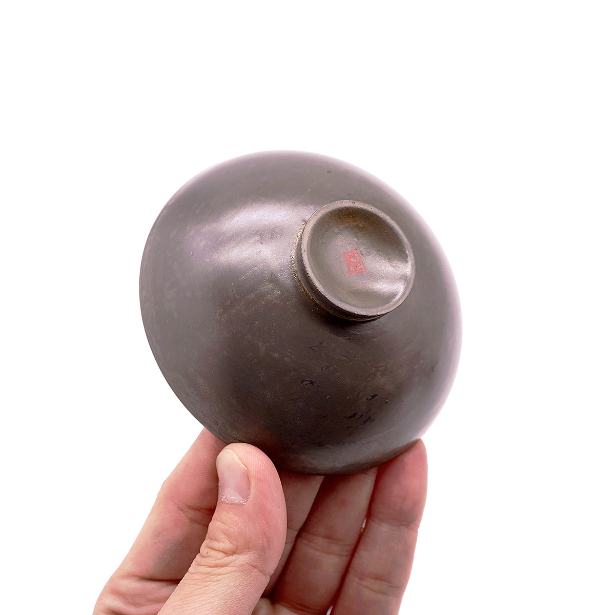 色英一　飲盃　鯉　TEIGN077P