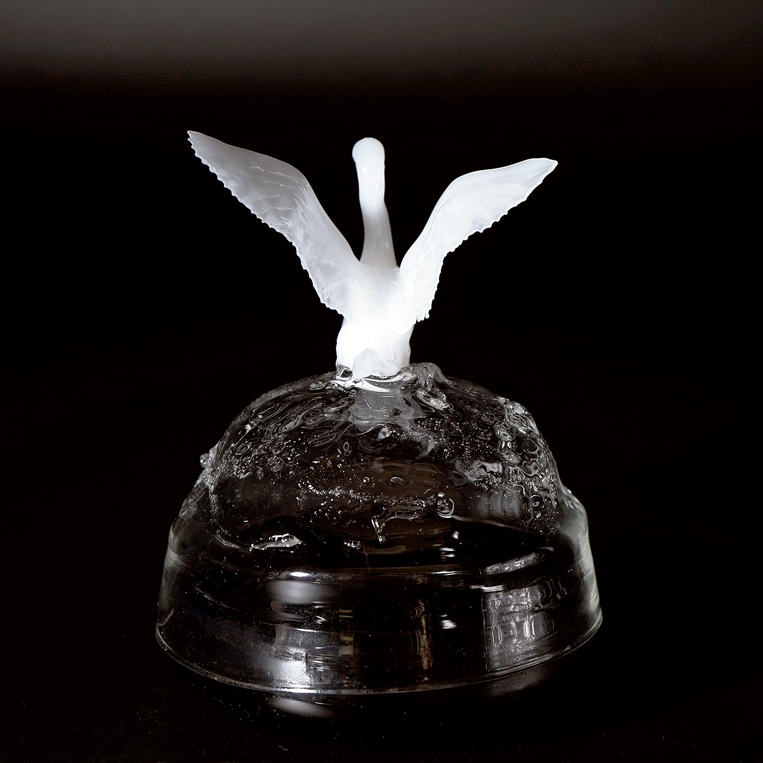 大下邦弘　白鳥の湖　OSKOB016