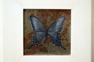 酒井龍一　「Fragment -Butterfly-」　SRIPN030