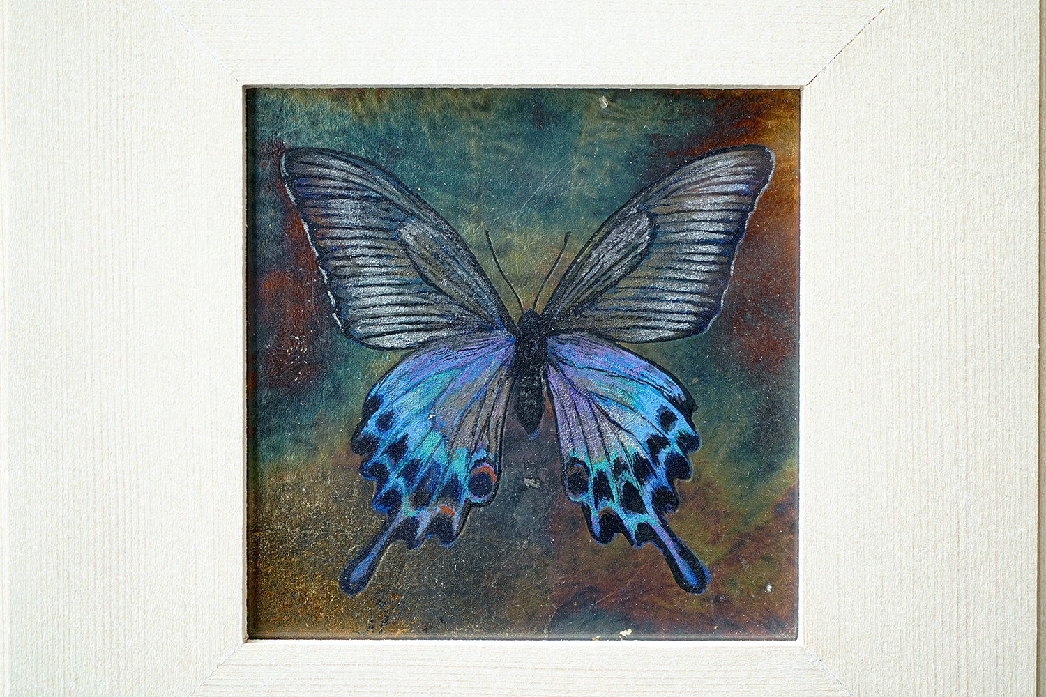 酒井龍一　「Fragment -Butterfly-」　SRIPN031P