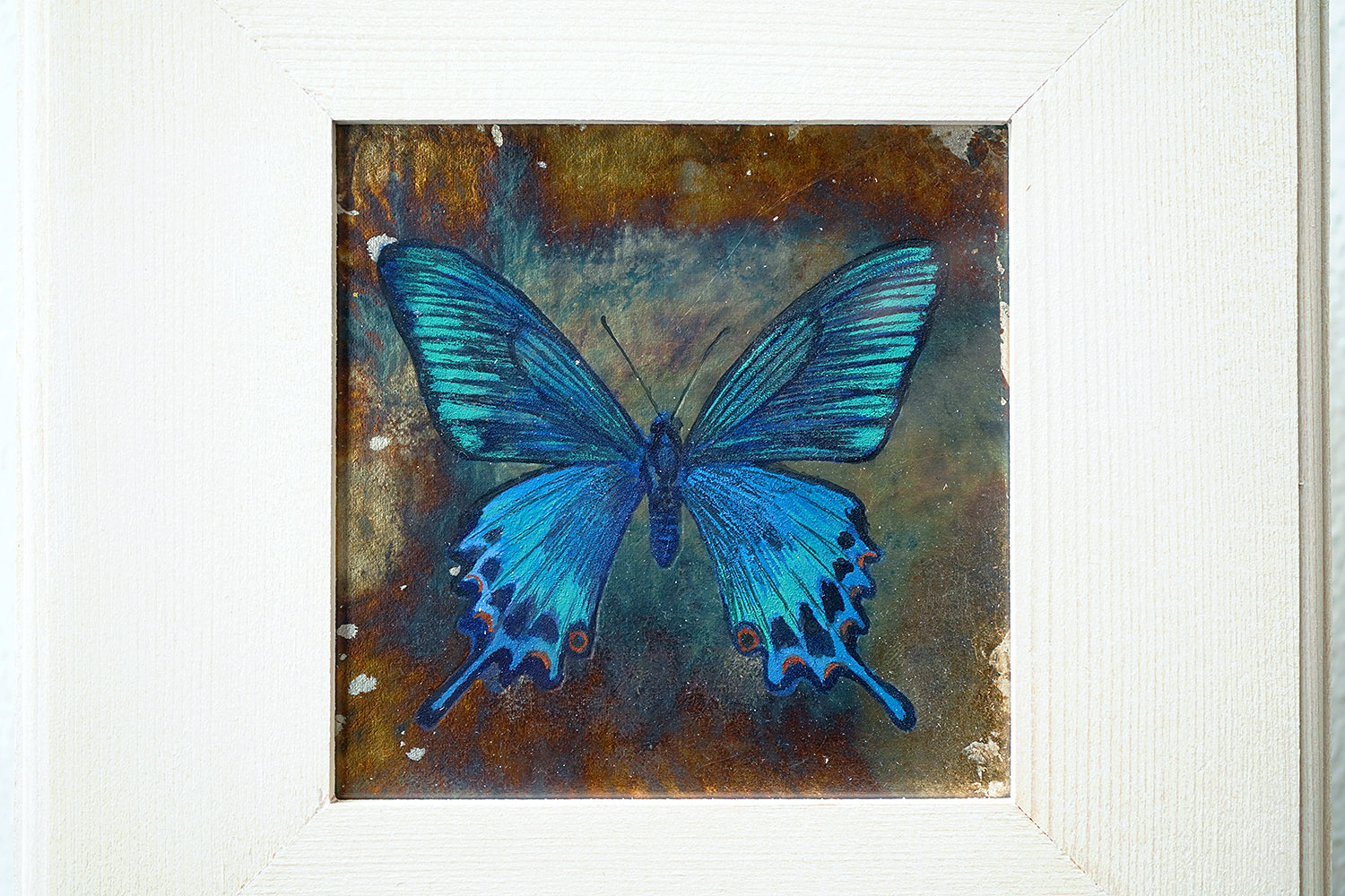 酒井龍一　「Fragment -Butterfly-」　SRIPN034