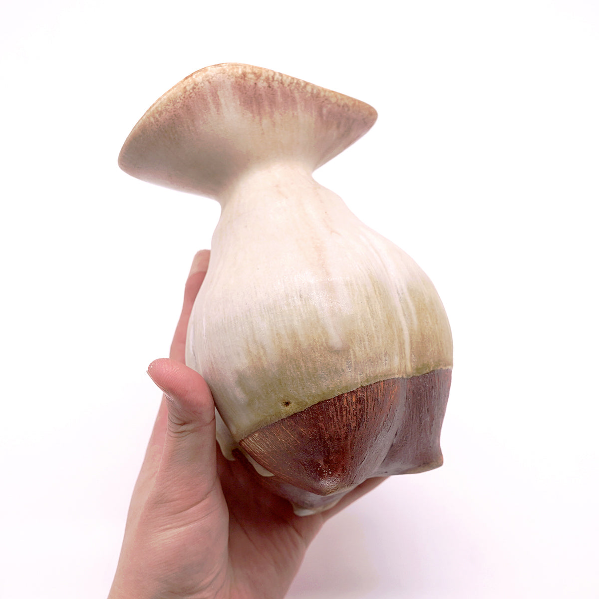 仲岡信人　花生　NONFV006P