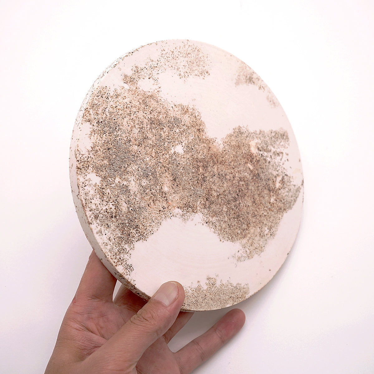 松本治幸　白磁窯変皿　 HRYPL013