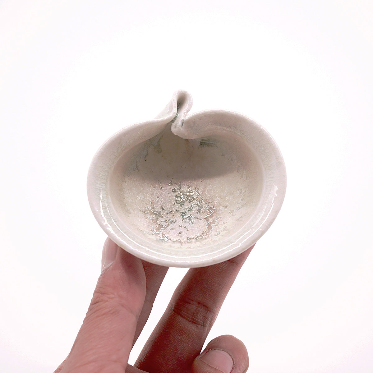 田村一　蛤盃　TMHGN116