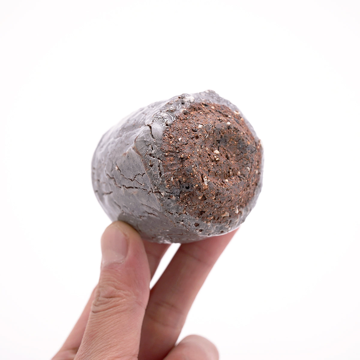 【期間限定】《Life with the Bloom》伊藤千穂　くろがね星ぐい呑　ITCBGN022