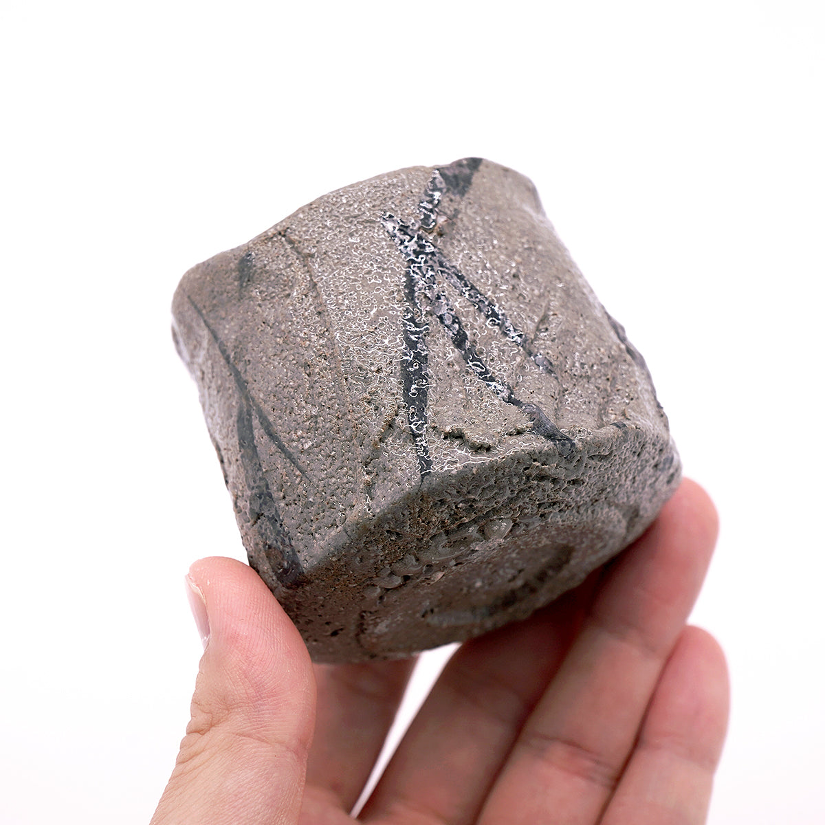 富田啓之 鉄絵草文ぐい呑 TMTGN146P – 白白庵（PAKUPAKUAN）