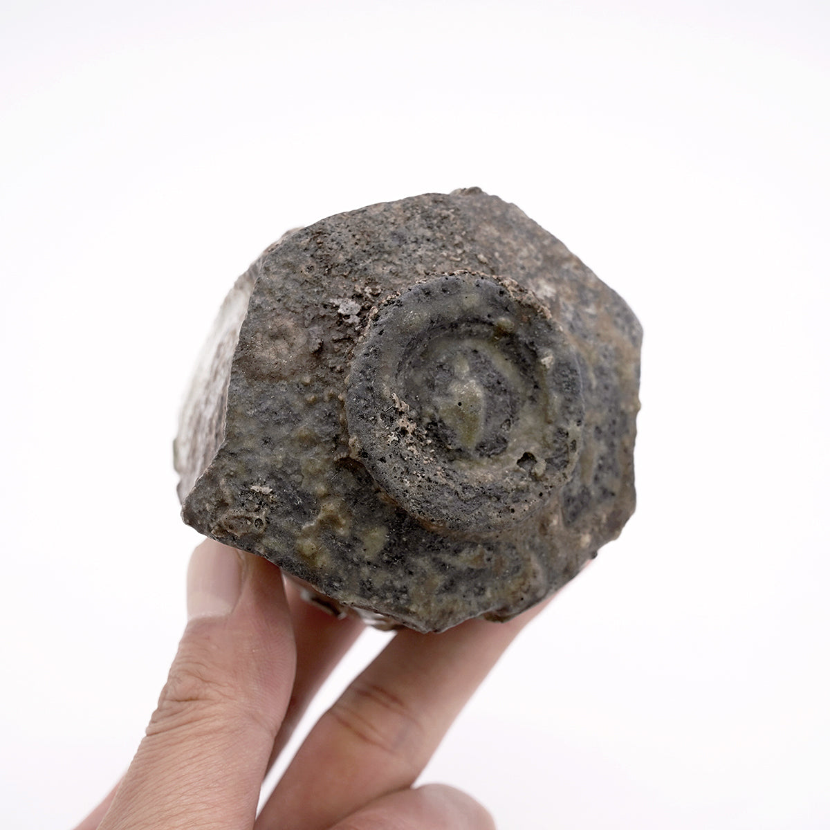 谷本洋　伊賀ぐい呑　TMYGN013P