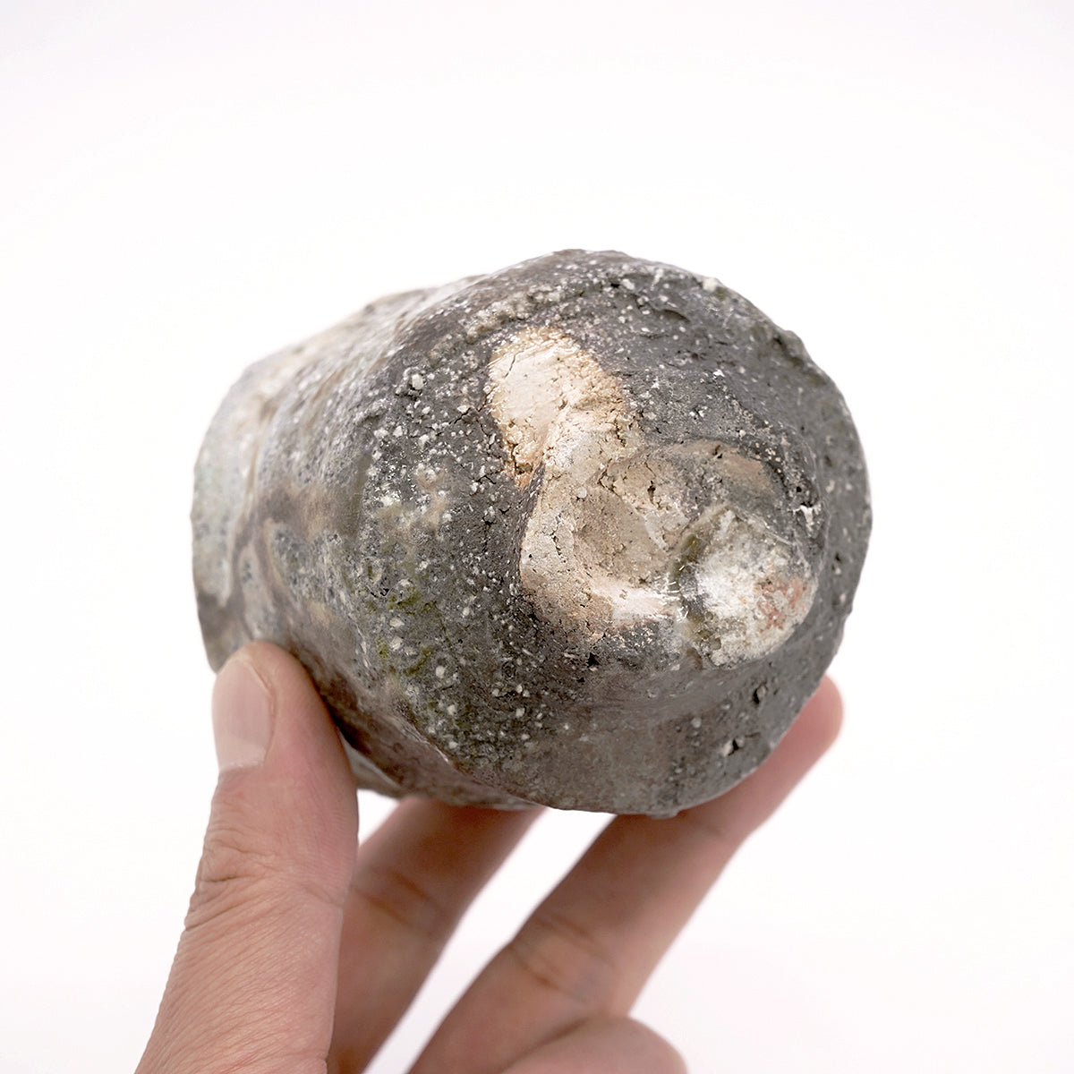 谷本洋　伊賀ぐい呑　TMYGN014P