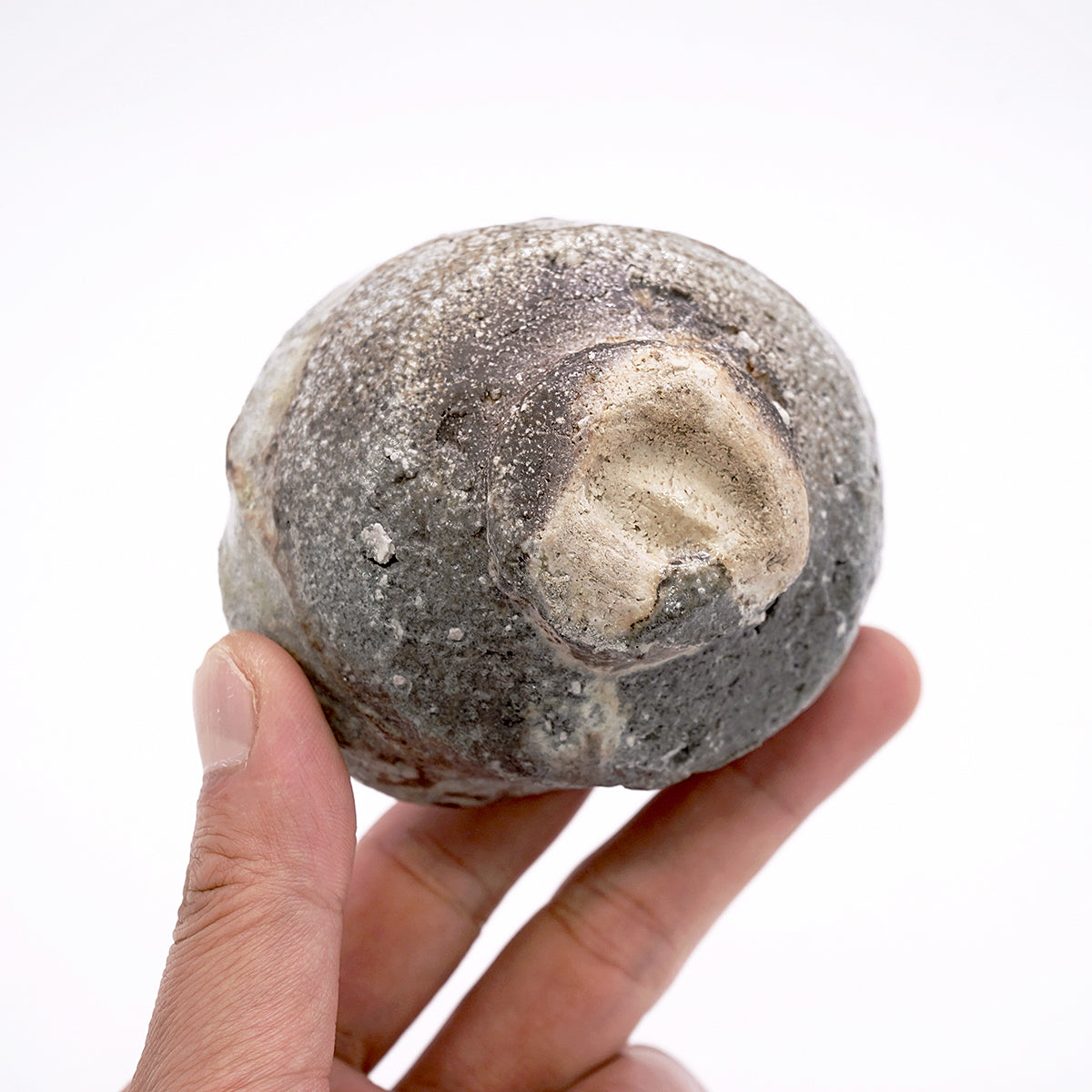 谷本洋　伊賀ぐい呑　TMYGN016P