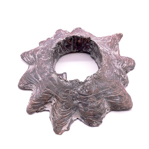 梶浦聖子 「惑星の木」 KJSOB028 – 白白庵（PAKUPAKUAN）