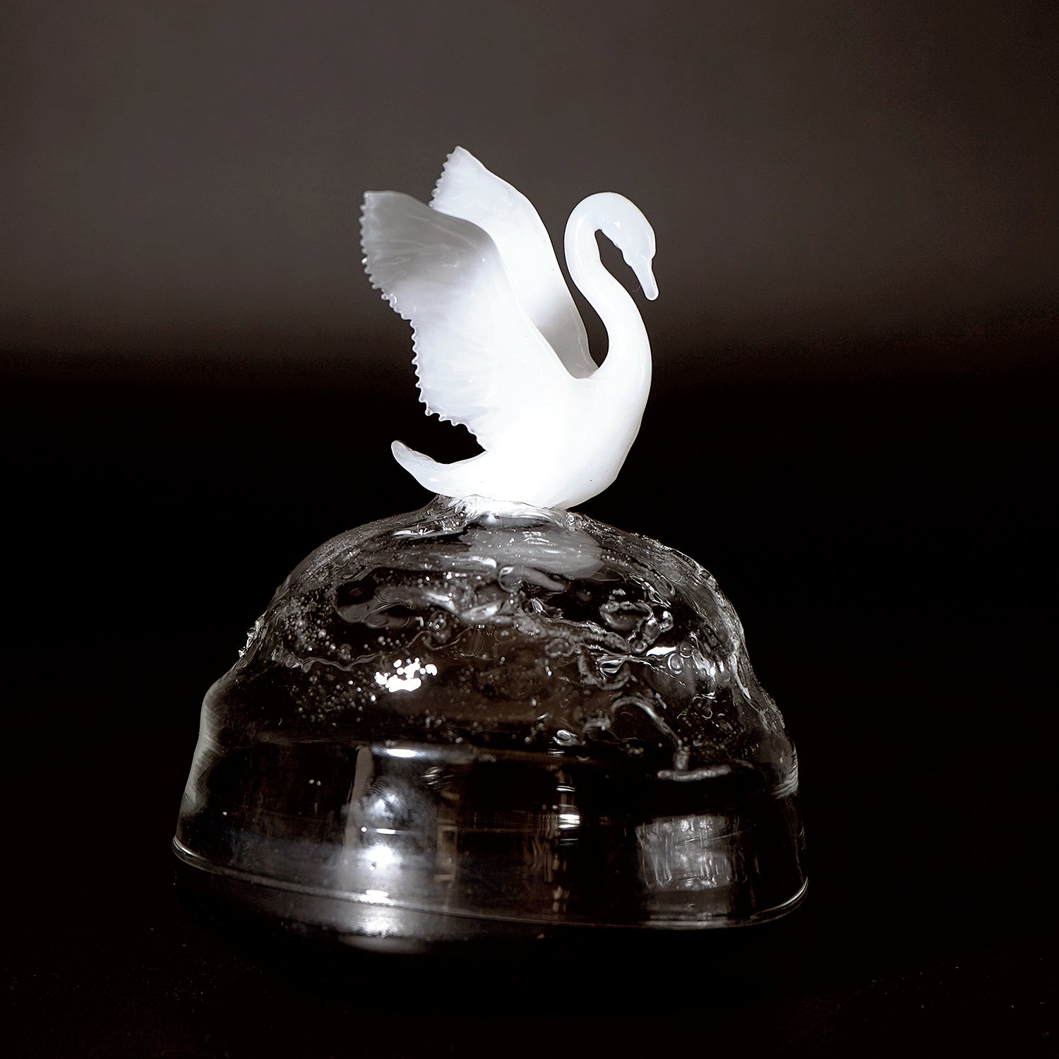 大下邦弘　白鳥の湖　OSKOB016