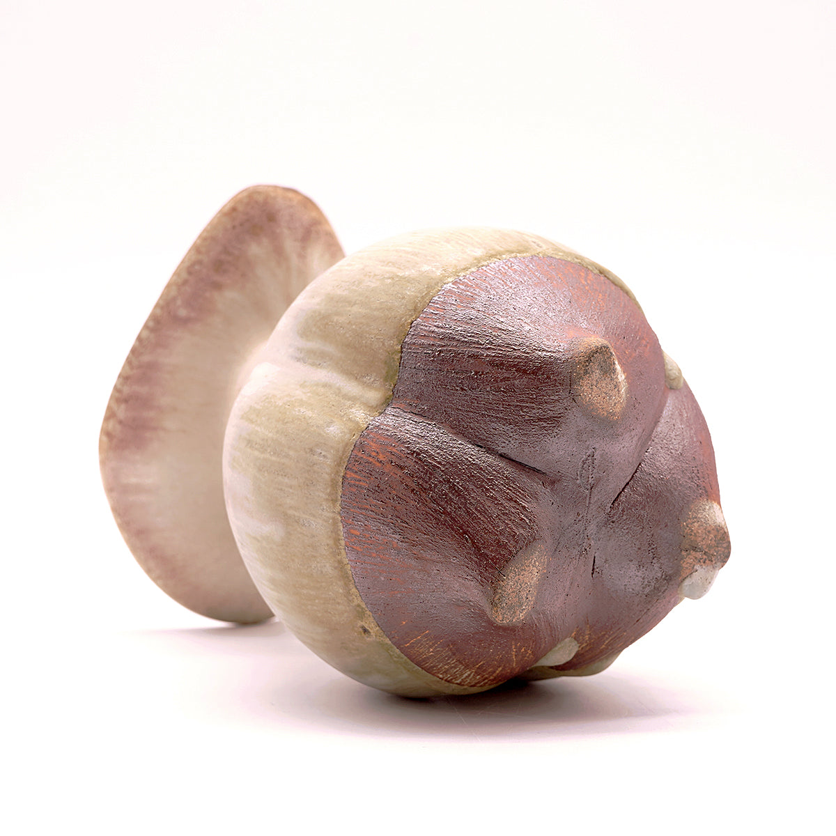 仲岡信人　花生　NONFV006P