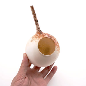 1483  冠音窯 松本幹治郎 創作白磁　雲層文  趣石　3客　未使用 気取らず、少し特別な気分になれるうつわ～大山育男・藤村佳澄 二人展