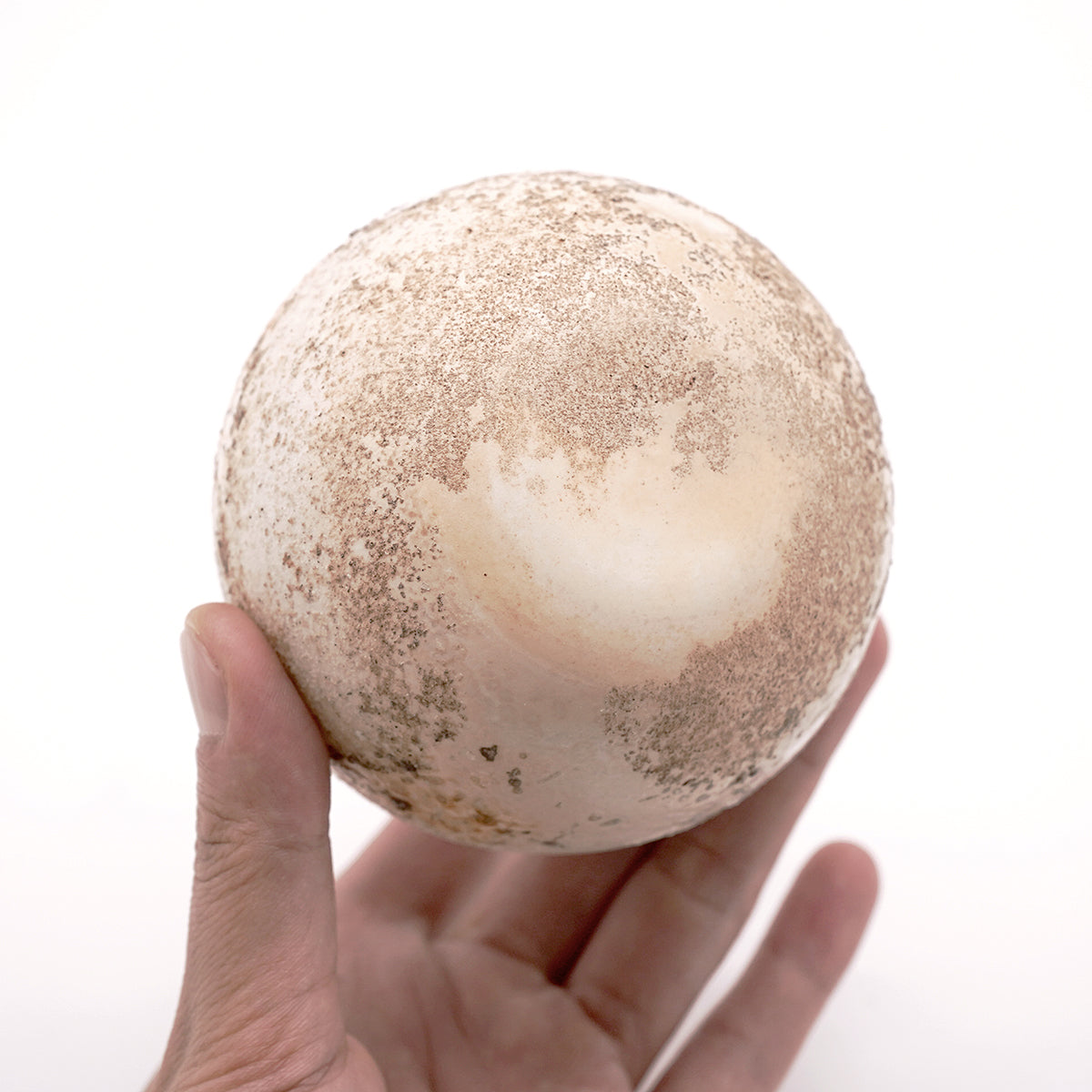 松本治幸　白磁窯変碗　HRYTB015