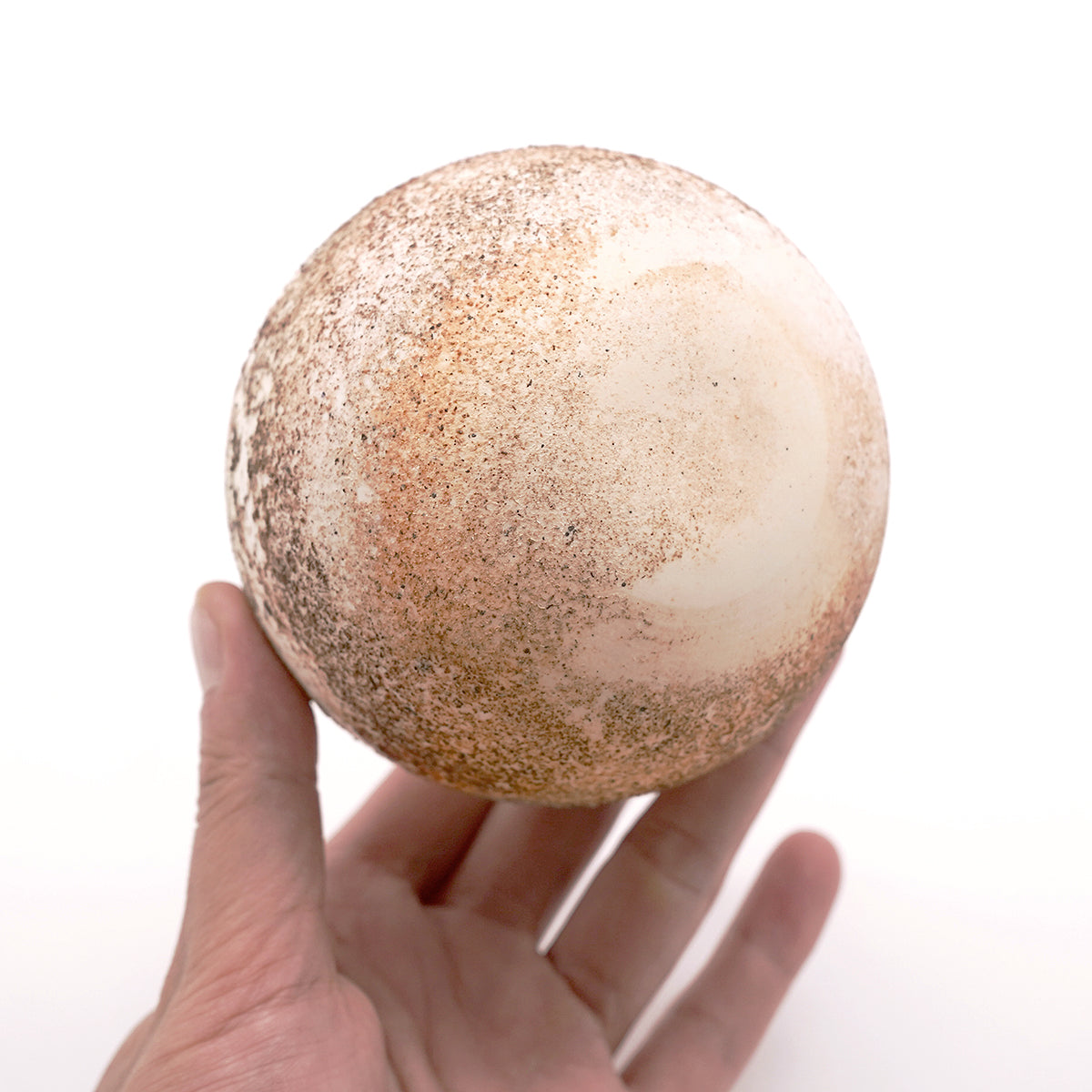 松本治幸　白磁窯変碗　HRYTB016