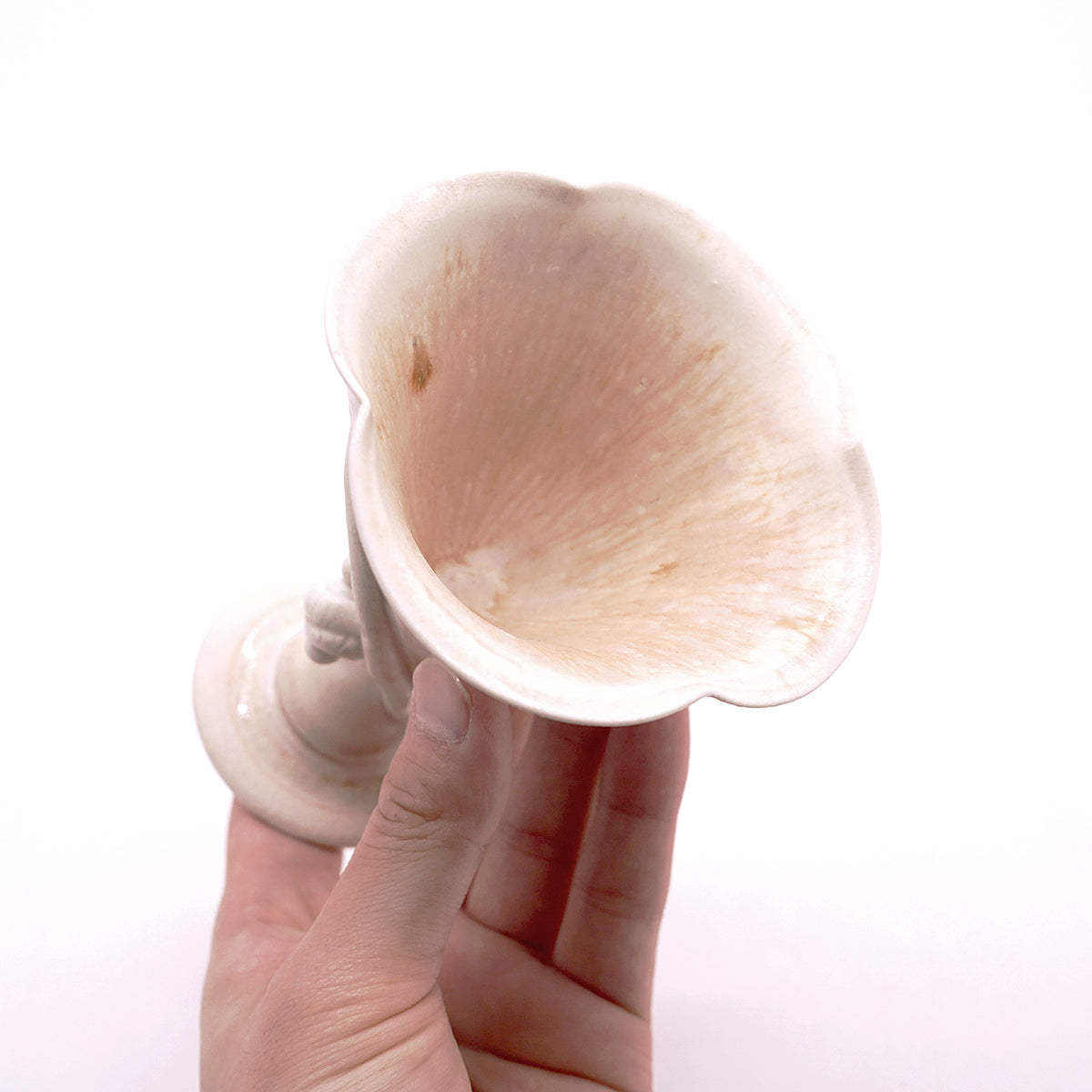 田村一　楽園の蛇　兎禾　TMHSK111P