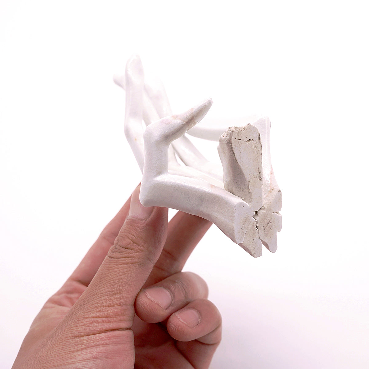 田村一　silhouette　TMHOB017