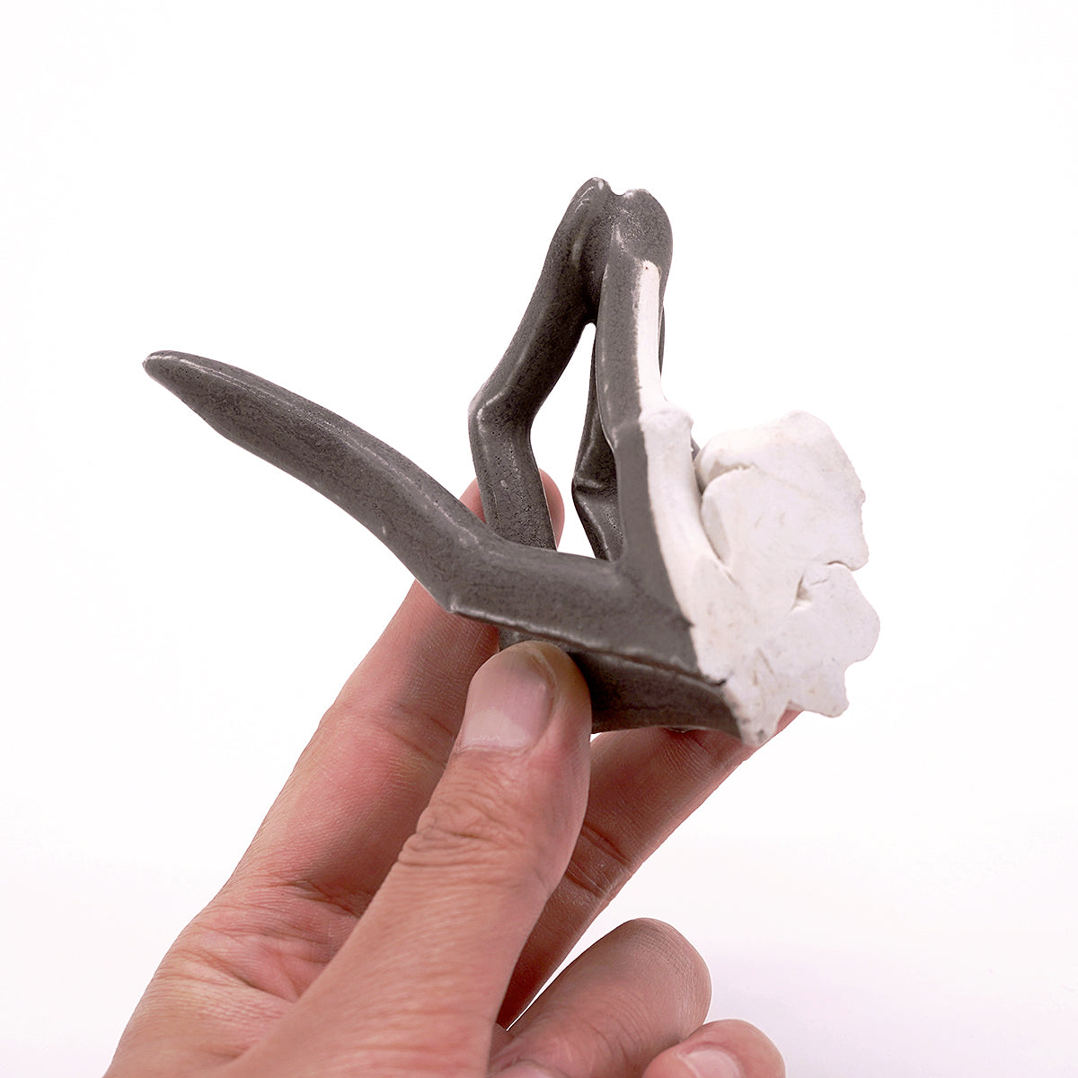 田村一　silhouette"fox"　TMHOB019