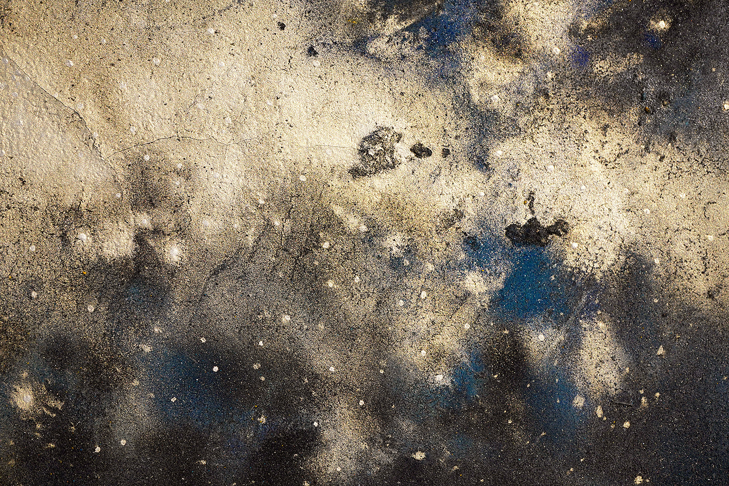 酒井龍一　「Cosmos #11」　SRIPN056P